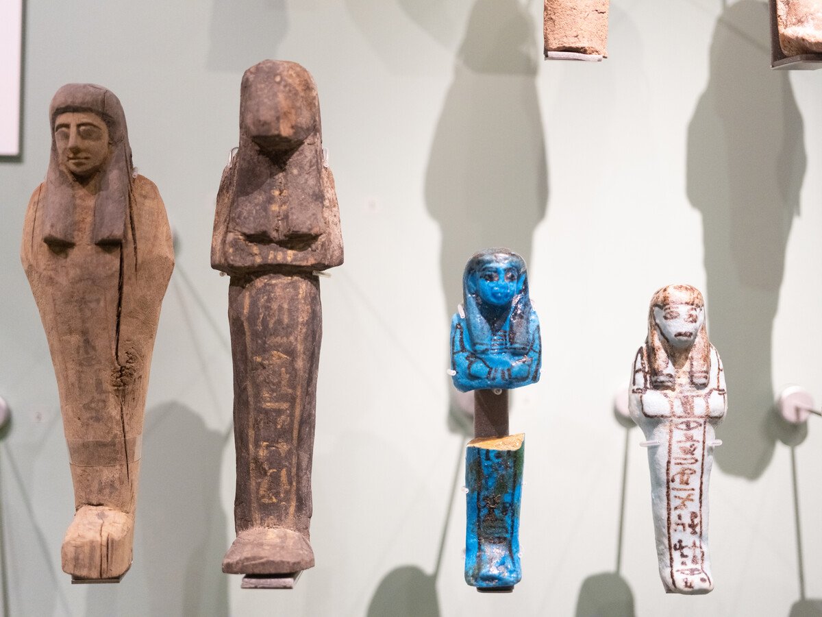 🖼️ 브라이턴 박물관 & 미술관(브라이턴 뮤지엄 & 아트 갤러리)